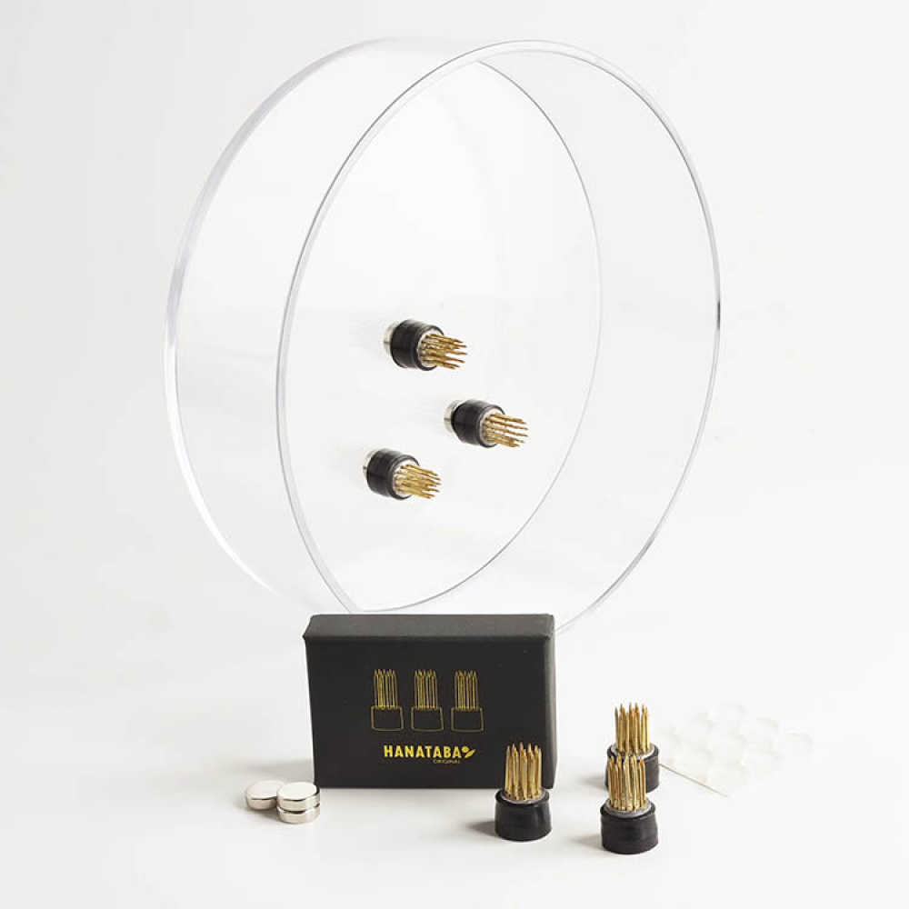 Magnetiska mini–blomsterfakirer 3-pack i gruppen Hemmet / Inredning hos SmartaSaker.se (14698)