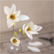 Pysselblommor av kräppapper
