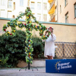 Midsommarstång, 217 cm