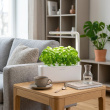 Odlingsstation med växtlampa, Click & grow