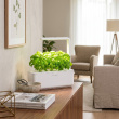 Odlingsstation med växtlampa, Click & grow