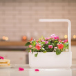 Odlingsstation med växtlampa, Click & grow