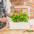 Odlingsstation med växtlampa, Click & grow