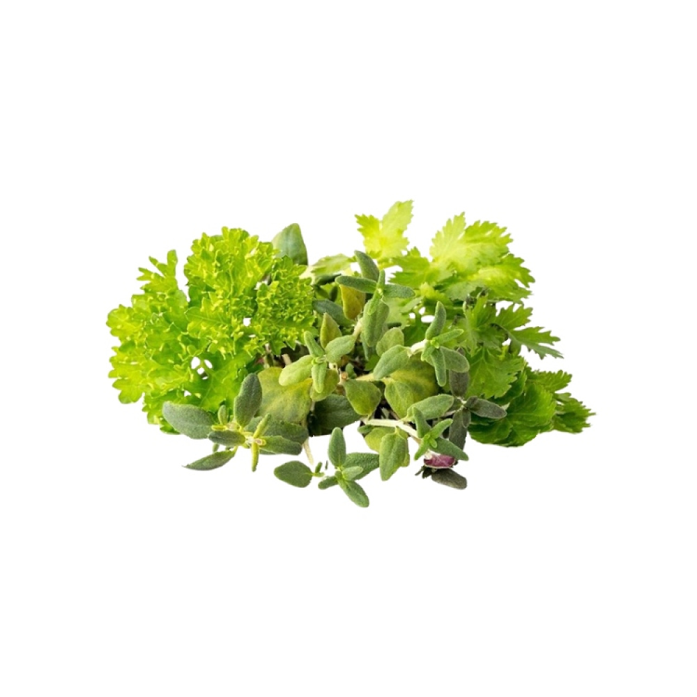Frökapslar till Odlingsstation, 9-pack, Click & grow i gruppen Hemmet / Trädgård / Odla hos SmartaSaker.se (15002)