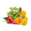 Frökapslar till Odlingsstation, 9-pack, Click & grow
