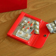 Fodral A7, GENERAL PURPOSE CASE, 12 x 9 cm, Nähe Fodral A7, GENERAL PURPOSE CASE, 12 x 9 cm, Nähe
