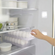 Förvaringslåda för 14 ägg, Stapelbar, TOWER MODERN EGG TRAY Yamazaki, Frostigt transparent Förvaringslåda för 14 ägg, Stapelbar, TOWER MODERN EGG TRAY Yamazaki, Frostigt transparent