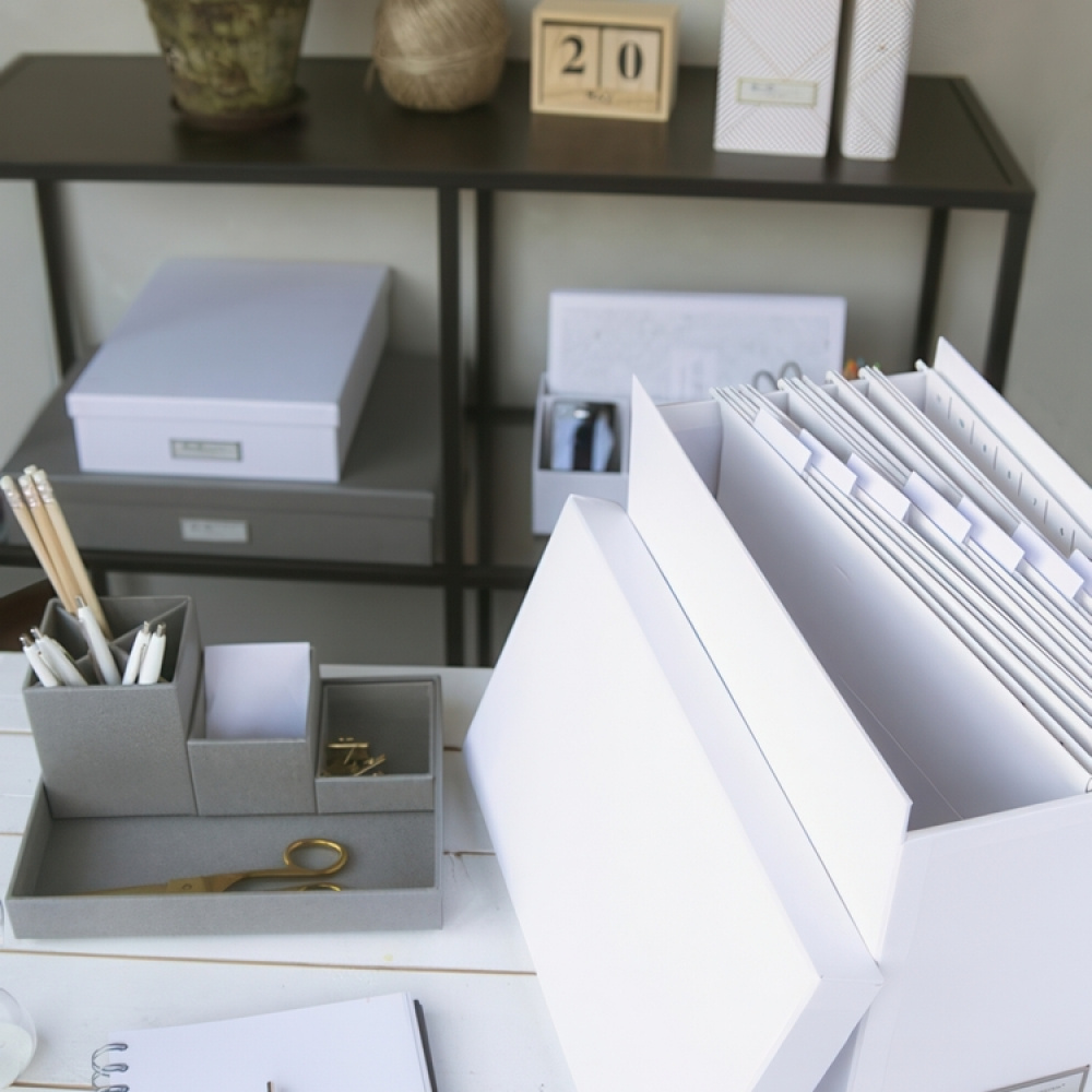 Hängmappar, 8 st, HANGING FILES A4, 21 x H 29 cm, Vita i gruppen Förvaring / Kontorsmaterial hos SmartaSaker.se (41324)