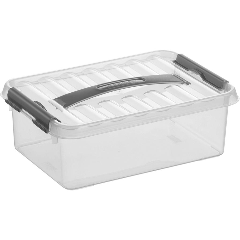 Låda med handtag, Liten, Låg, 4 Liter, Q-LINE BOX, 30 x 20 x H10,4 cm, Klar / Silvergrå i gruppen Förvaring / Förvaringslådor hos SmartaSaker.se (41779)
