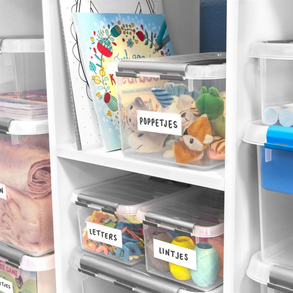 Låda med handtag, Liten, Låg, 4 Liter, Q-LINE BOX, 30 x 20 x H10,4 cm, Klar / Silvergrå i gruppen Förvaring / Förvaringslådor hos SmartaSaker.se (41779)