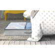 Låda under sängen, hård kant, ALDO UNDER BED, 91 x 53 x H 13 cm, Grå Låda under sängen, hård kant, ALDO UNDER BED, 91 x 53 x H 13 cm, Grå