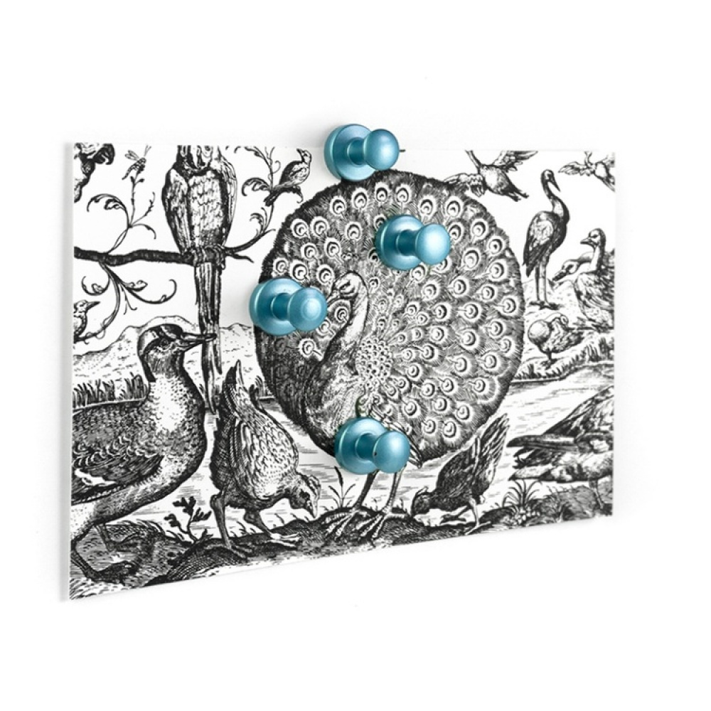 Magneter / krokar, Superstarka, 4 st, MINI.MAX, Ø 1,4 x H 1,5 cm, Silverblå i gruppen Förvaring / Magneter och självhäftande / Starka magneter hos SmartaSaker.se (41958)