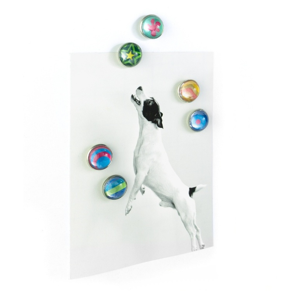 Magneter 6 st, ARGUS, Ø 1,7 cm, Färgglada i gruppen Förvaring / Magneter och självhäftande hos SmartaSaker.se (41961)