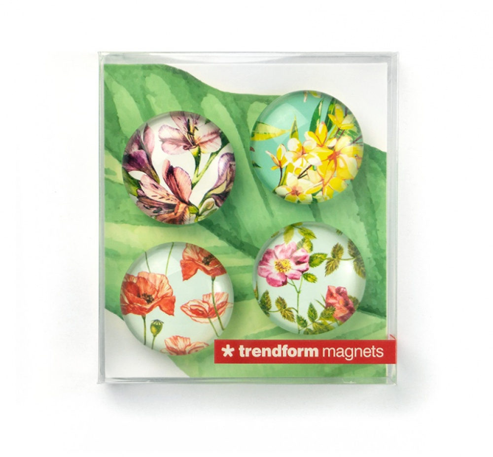 Magneter Blommor, 4 stycken, FLOWER, Ã˜ 3,5 cm, Flerfärgad i gruppen Förvaring / Magneter och självhäftande hos SmartaSaker.se (41965)