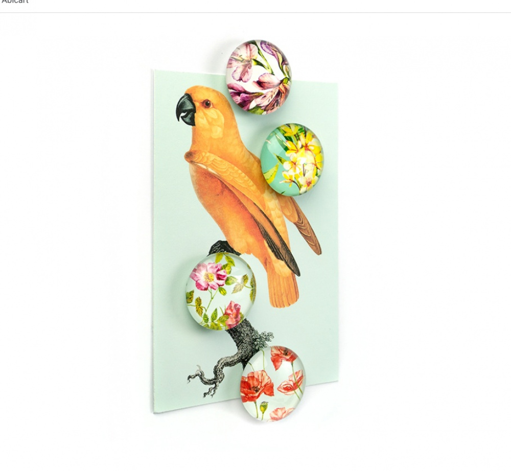 Magneter Blommor, 4 stycken, FLOWER, Ã˜ 3,5 cm, Flerfärgad i gruppen Förvaring / Magneter och självhäftande hos SmartaSaker.se (41965)