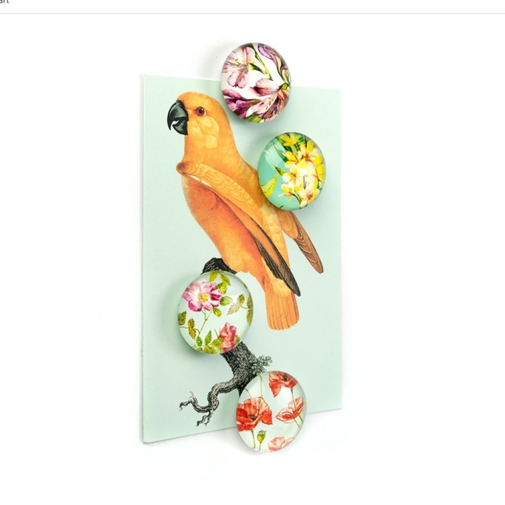 Magneter Blommor, 4 stycken, FLOWER, Ø 3,5 cm, Flerfärgad i gruppen Förvaring / Magneter och självhäftande hos SmartaSaker.se (41965)