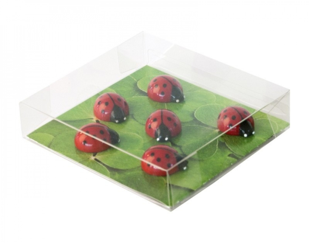 Magneter Nyckelpigor, 6st, LADYBUG, röda i gruppen Förvaring / Magneter och självhäftande hos SmartaSaker.se (41998)