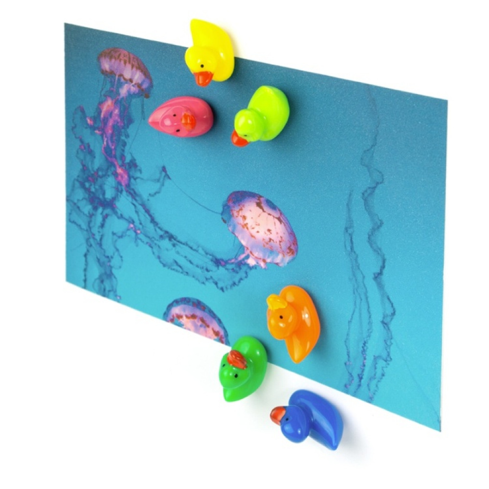 Magneter, Färgglada Ankor 6 st, DUCK Blandade färger i gruppen Förvaring / Magneter och självhäftande hos SmartaSaker.se (42013)