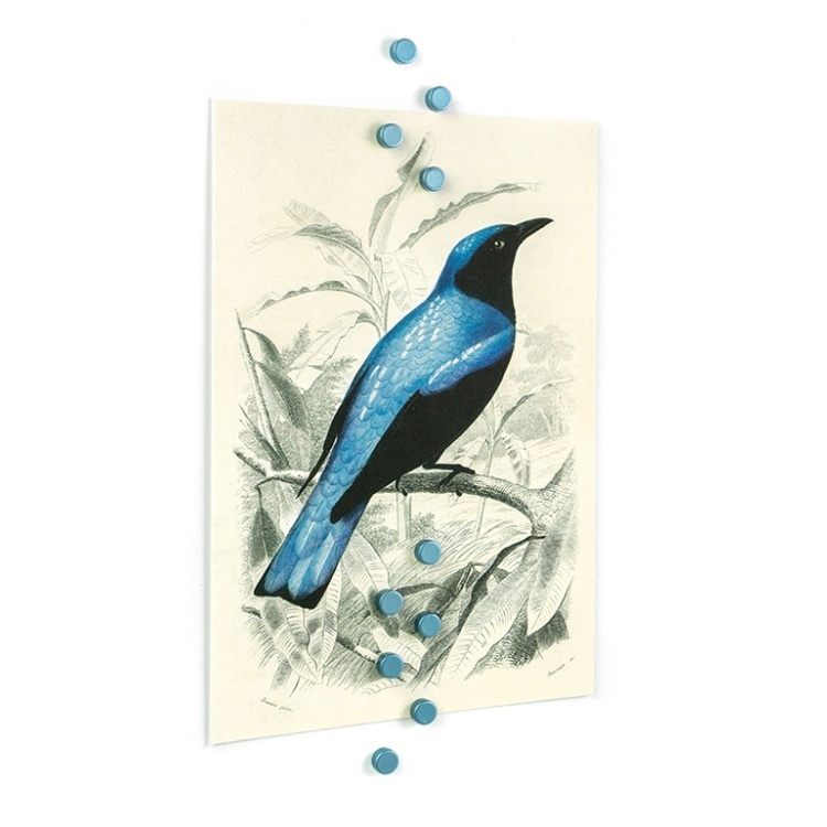 Magneter, mini, starka, 10 st, STEELY SILVER BLUE, Ø 0,6 x H 0,3 cm, Ljusblå i gruppen Förvaring / Magneter och självhäftande / Starka magneter hos SmartaSaker.se (42025)