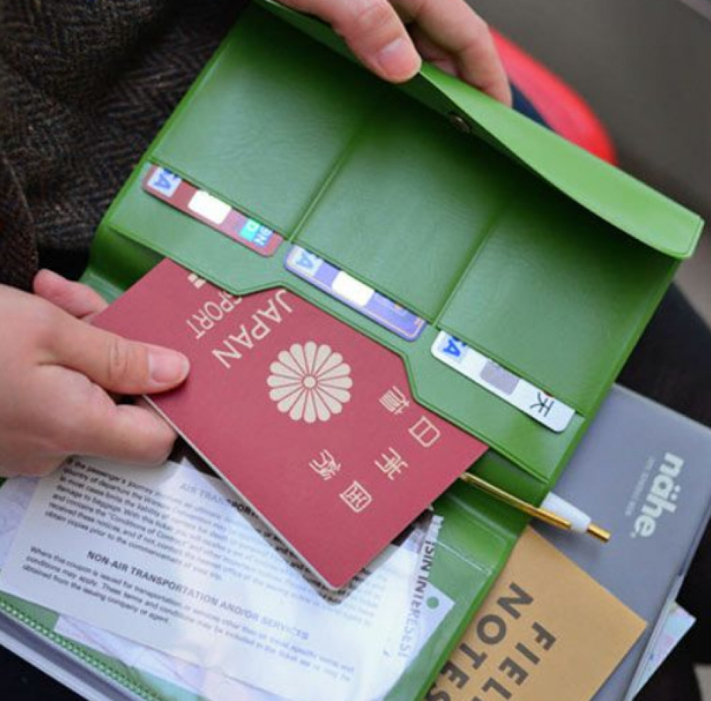 Pass och kortfodral, NÄHE TRAVEL ORGANIZER, 19 x 1,5 x H 13.5 cm i gruppen Förvaring / Förvaring på resa hos SmartaSaker.se (42393)