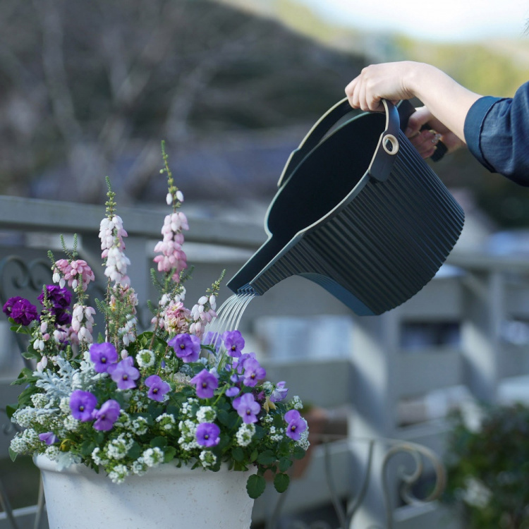 Vattenkanna, LARGE HAICHIMAN GARDEN BEETLE, 5 L i gruppen Förvaring / Förråd- och garageförvaring hos SmartaSaker.se (43202)