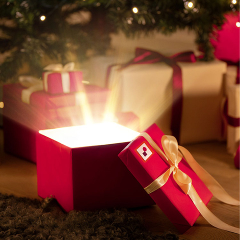 Roliga julklappar